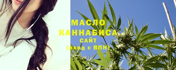 меф Вяземский