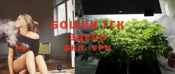 меф Вяземский