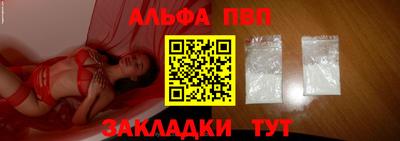 спайс Кингисепп