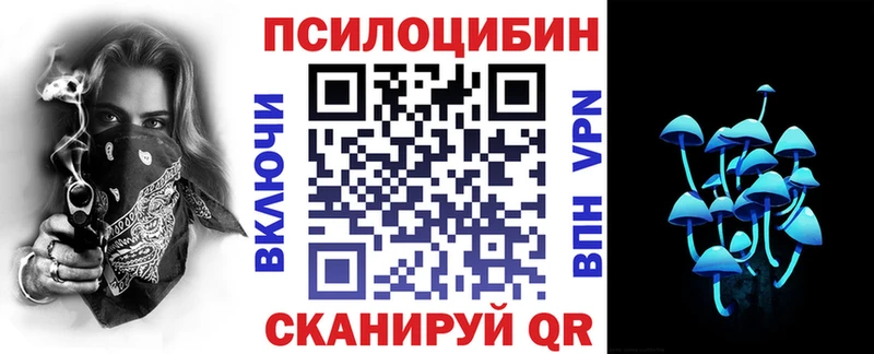 Псилоцибиновые грибы Psilocybe  Кизляр 
