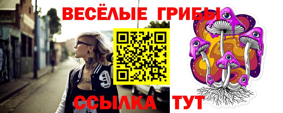 Галлюциногенные грибы Magic Shrooms Кизляр