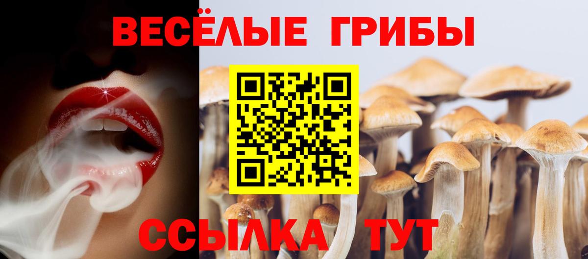 Кизляр  Псилоцибиновые грибы ЛСД  Вход с VPN 